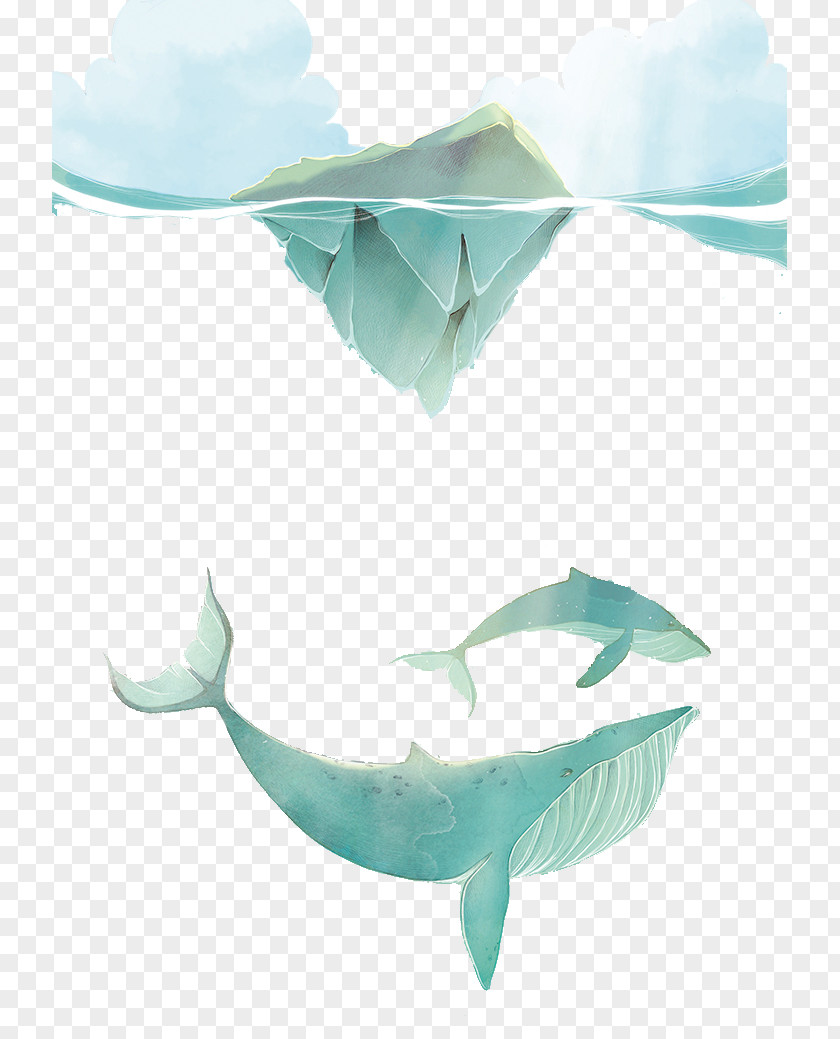 Painted Iceberg Shark Clip Art PNG