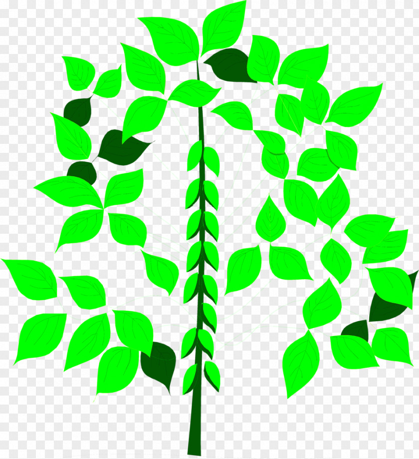 Soybean Knowledge Clip Art PNG