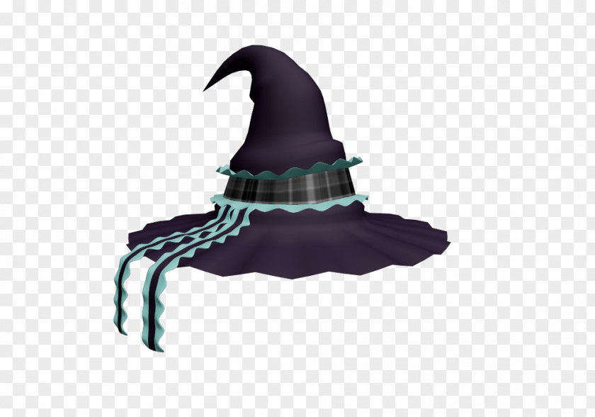Student Hat Witch Costume Clothing Accessories PNG