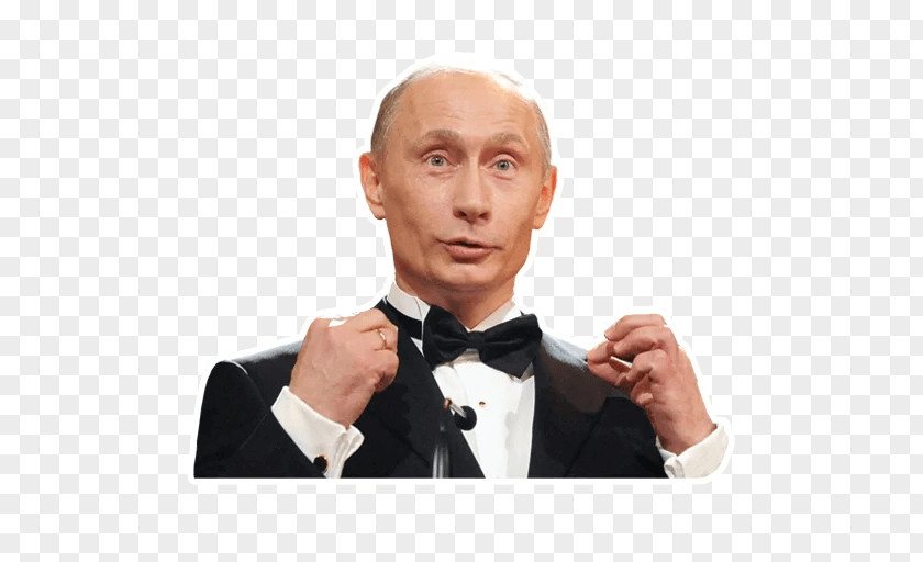 Vladimir Putin President Of Russia Prime Minister PNG