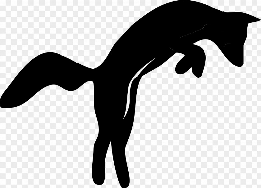 Cat Clip Art Dog Mammal Canidae PNG