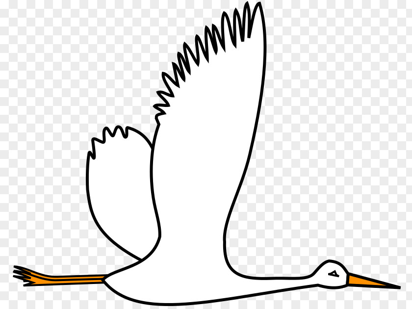 Cigogne Noire Bird Migration Clip Art Text Water PNG