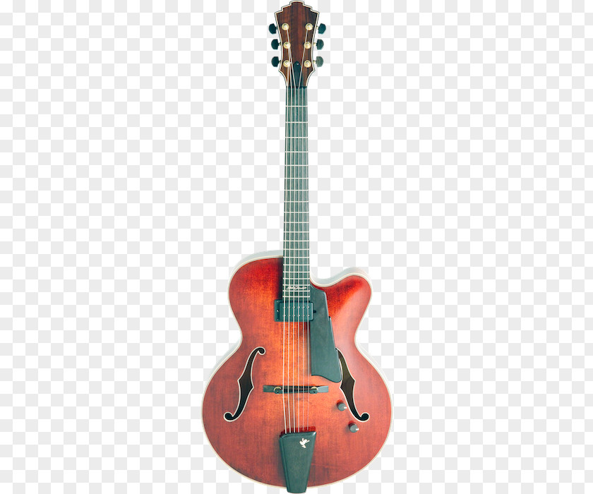 Electric Guitar Ukulele Acoustic Cutaway PNG