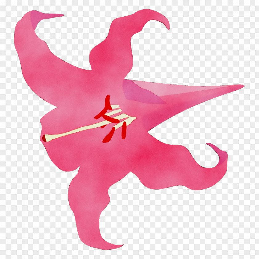 Magenta Petal Pink Plant Flower PNG