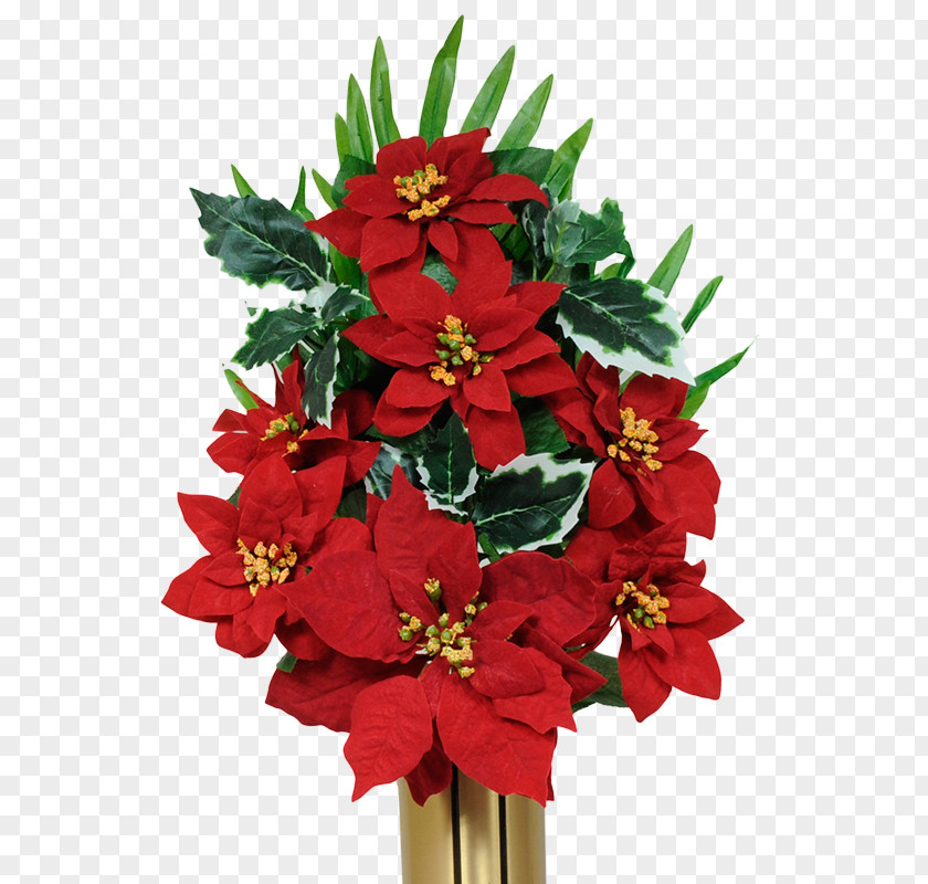 Daisy Vector Funeral Cemetery Flower Salmon (color) Red PNG