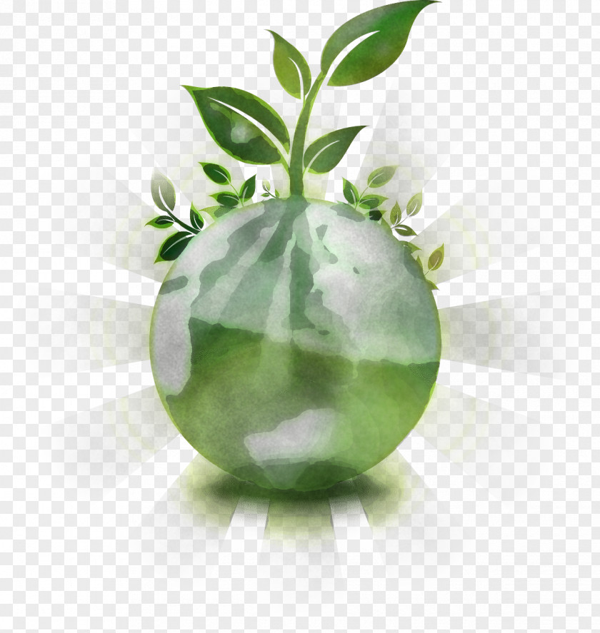 Flower Vase Green Leaf Plant PNG