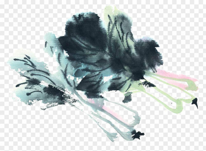 Painting Cabbage U7e6au756bu85ddu8853 U4e2du570bu5de5u7b46u756b Ink Wash Chinese Vegetable PNG