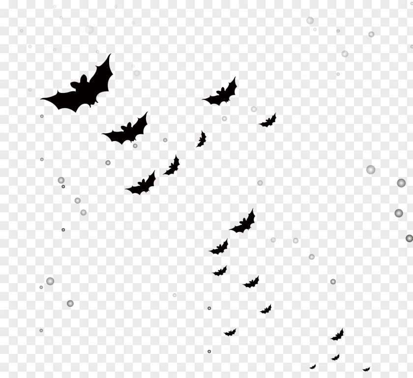 Bats PNG clipart PNG