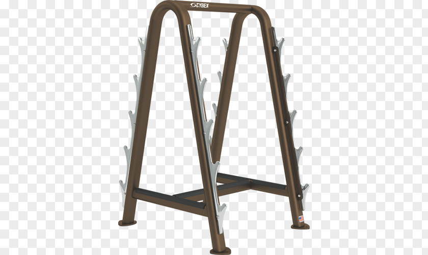 Dumbbell Racks And Stands Cybex Barbell Rack Weight Training Power PNG