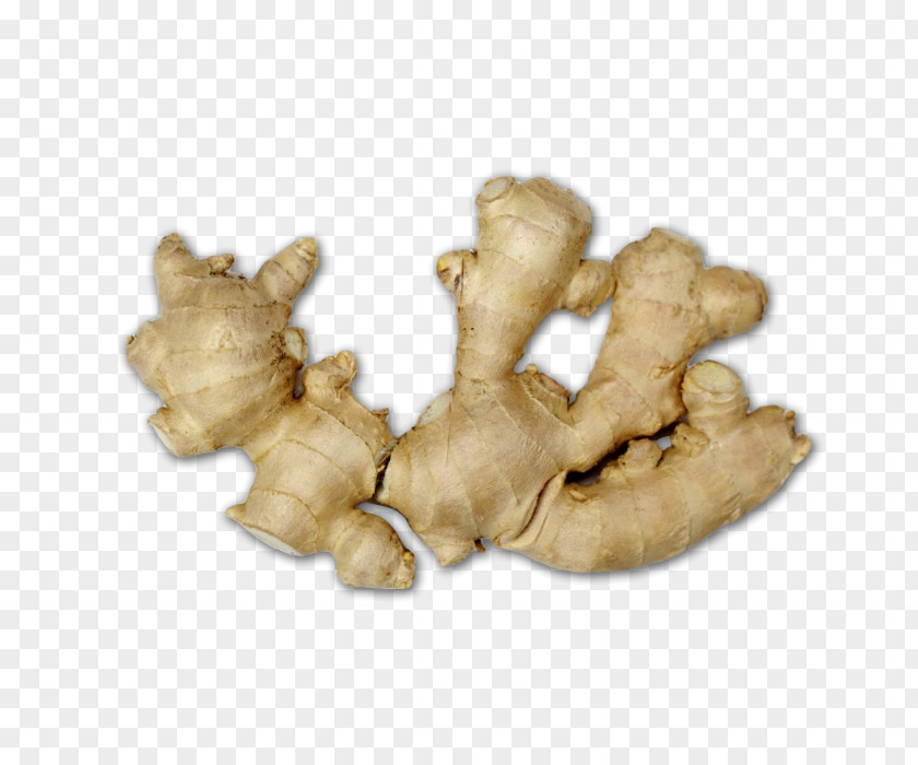 Ginger Beer Ingredient Icon PNG