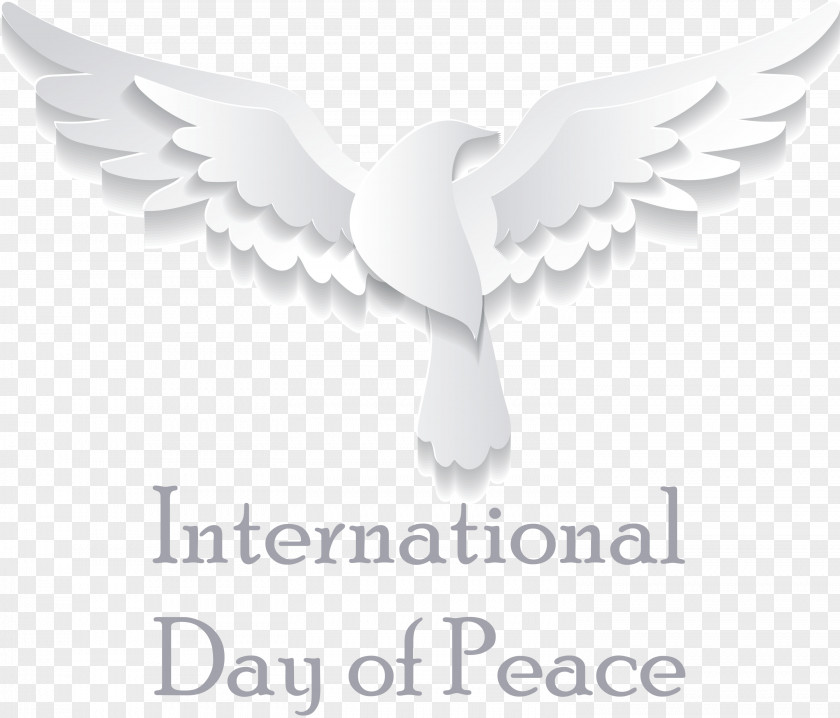 International Day Of Peace World PNG