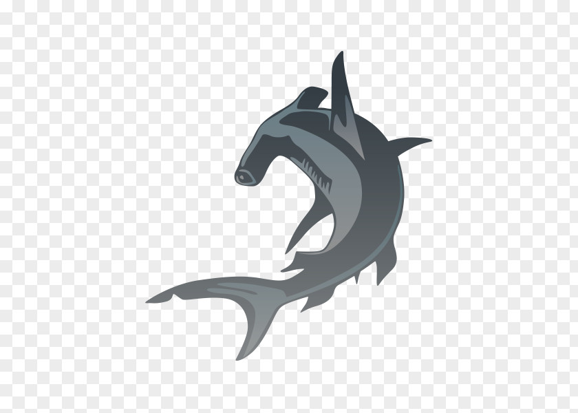 Shark Vector Graphics Illustration Clip Art Image PNG
