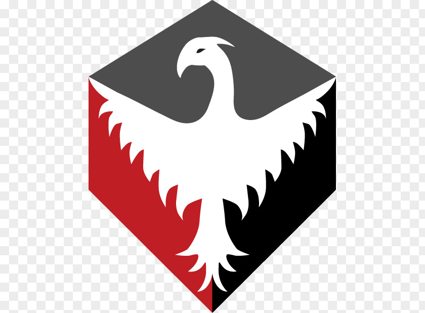 Bird Phoenix Logo Symbol Clip Art PNG