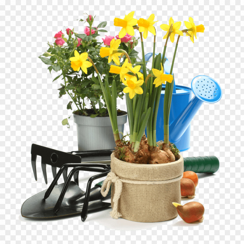 Gardening Flowerpot Stock Photography PNG