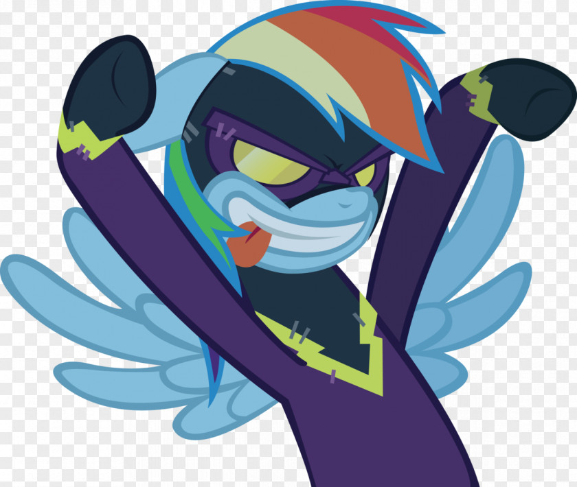 Rainbow Night Dash My Little Pony PNG