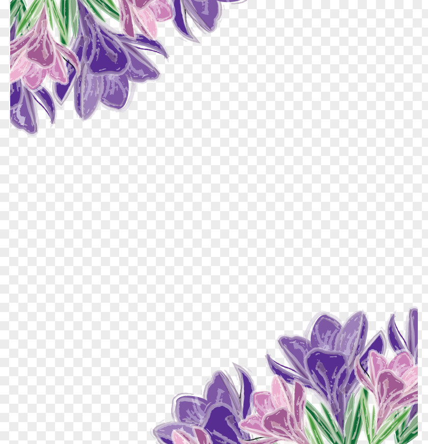 Vector Floral Decoration Purple Euclidean Flower Violet PNG