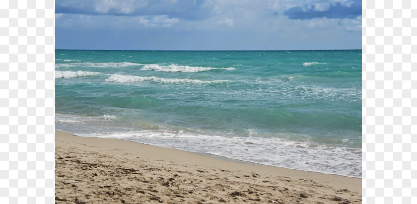 Beach Shore Sand Wind Wave Sea PNG