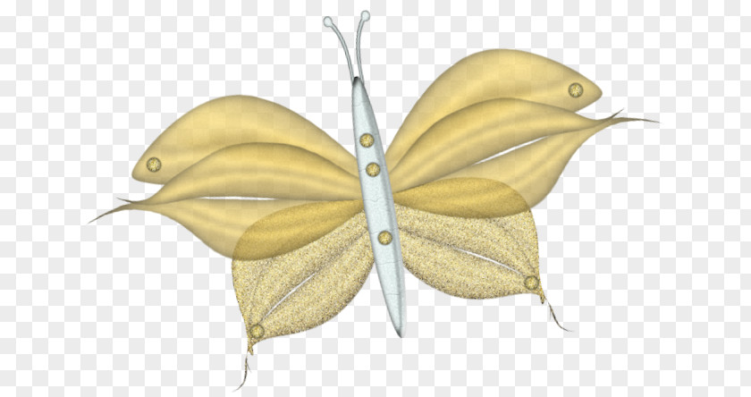 Butterfly Nymphalidae Shoelace Knot PNG