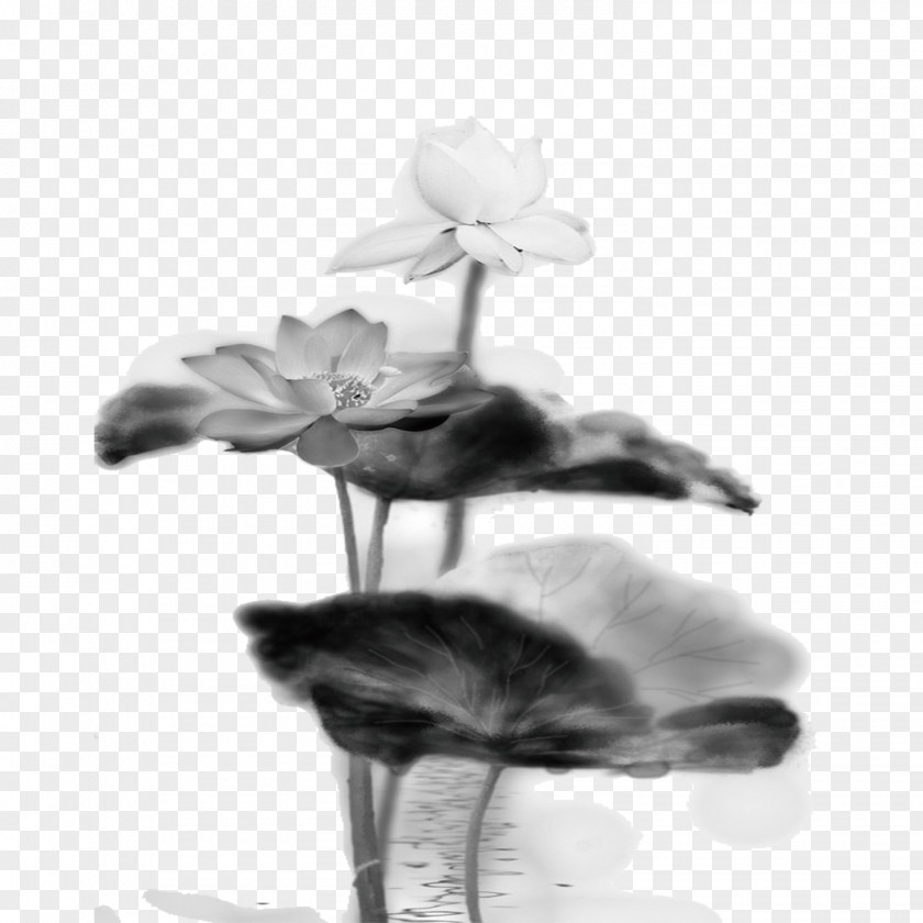 Ink Lotus Download Clip Art PNG