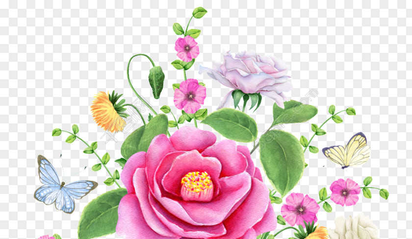 Produtos De Floricultura Garden Roses Floral Design Watercolor Painting Stock Illustration Vector Graphics PNG