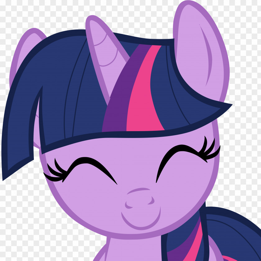 Twilight Sparkle Pinkie Pie Rainbow Dash Applejack Pony PNG