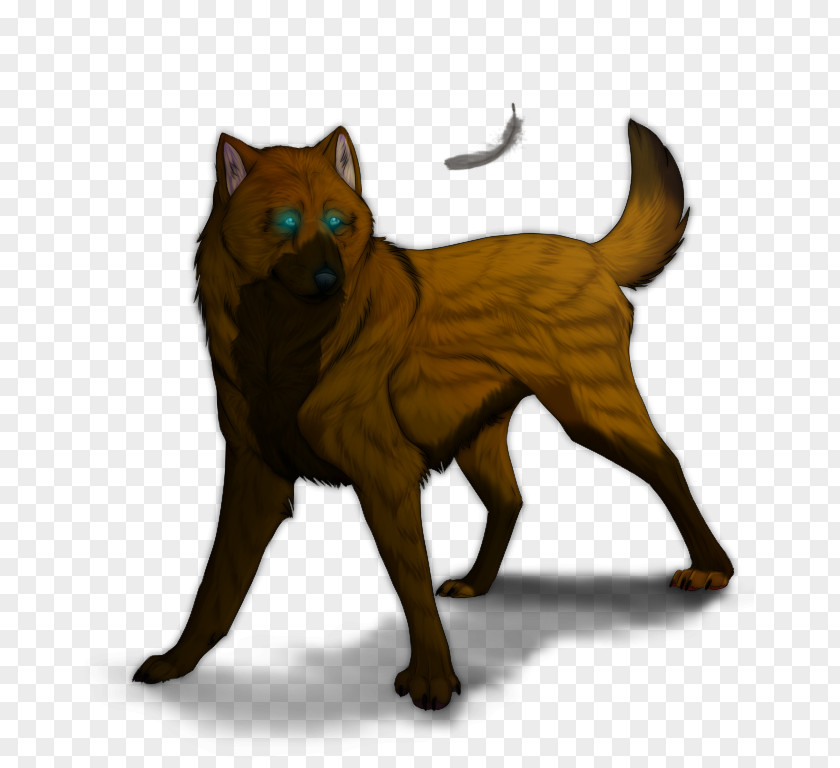 Cat Dog Breed Akita Red Fox Mammal PNG