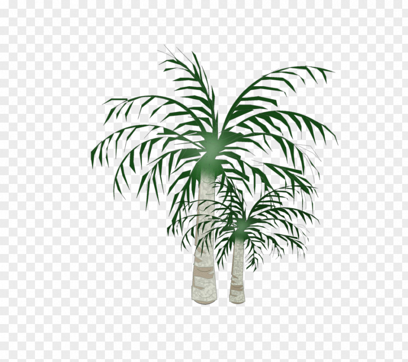 Coconut Tree Plane Arecaceae PNG