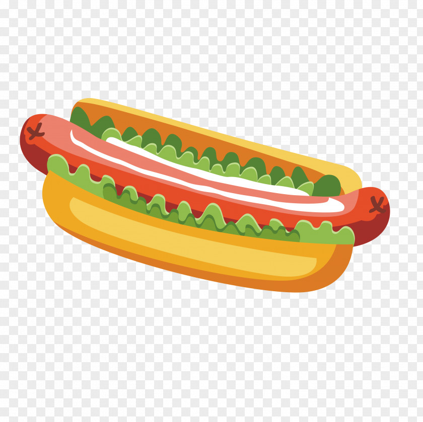Delicious Hot Dog Sausage Hamburger Fast Food PNG