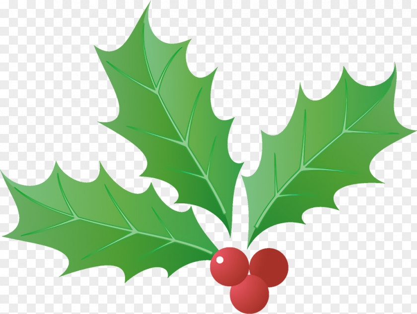 Flower American Holly Jingle Bells Christmas PNG