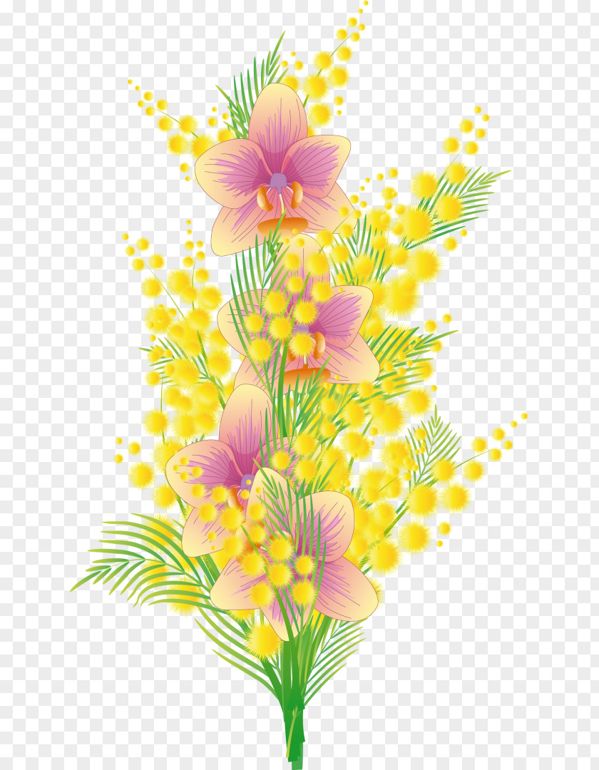 Flower Bouquet Image Mimosa Salad PNG
