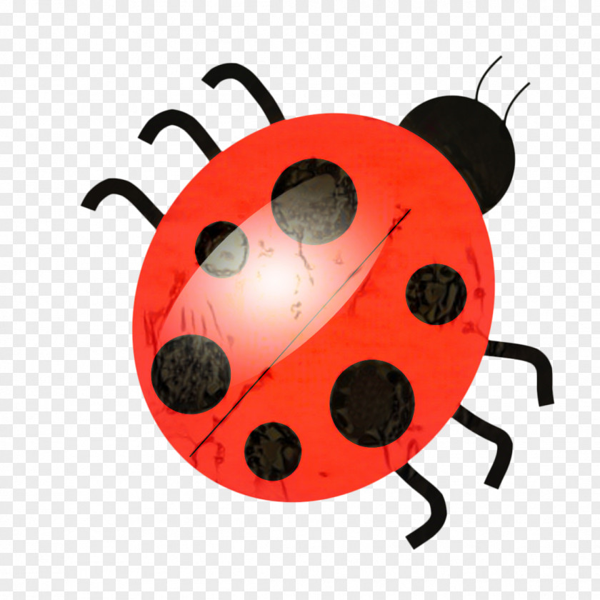 Ladybug Insect Ladybird PNG