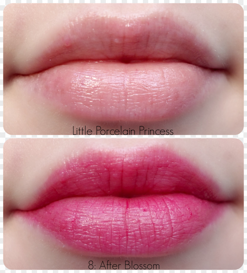 Makeup Swatch Lip Gloss Lipstick Color Rose PNG