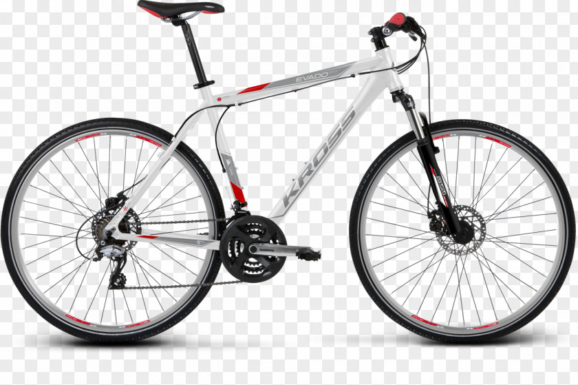 Bicycle Hybrid Mountain Bike Road Cycling PNG