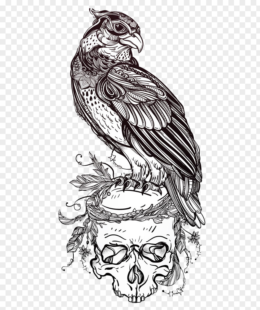 Eagle On Skull Bird Of Prey Owl Drawing PNG