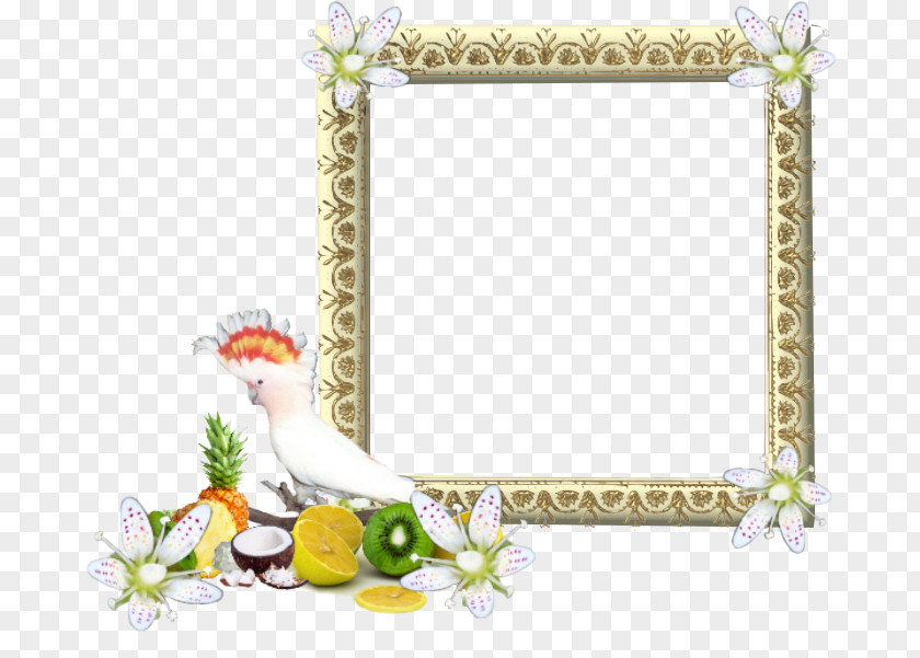 Galaxy Border Picture Frames Preview Teth PNG