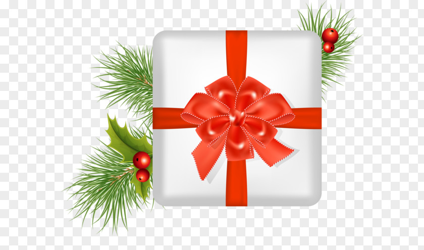 Gift Christmas Day New Year Vector Graphics Image PNG