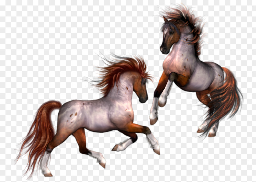 Horse Animation Cartoon Clip Art PNG