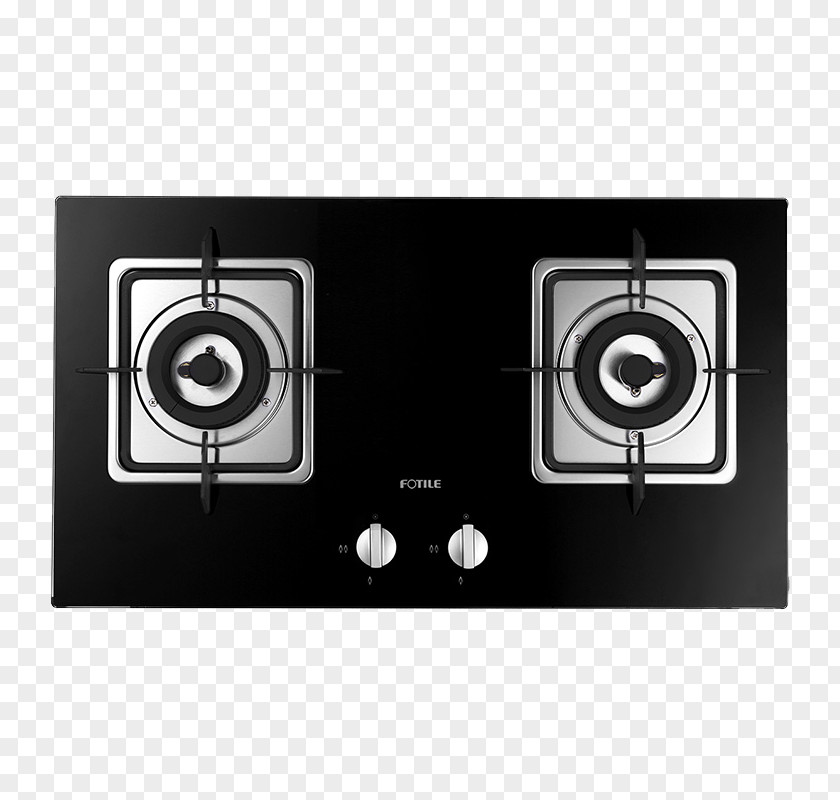 Side Too Fine Control FD3BE Fresh Fire Gas Stove Hearth Natural Fuel Home Appliance PNG