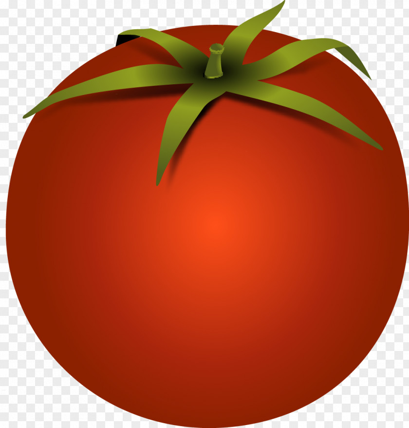 Vector Tomato Hamburger Cherry Lasagne Bolognese Sauce Clip Art PNG