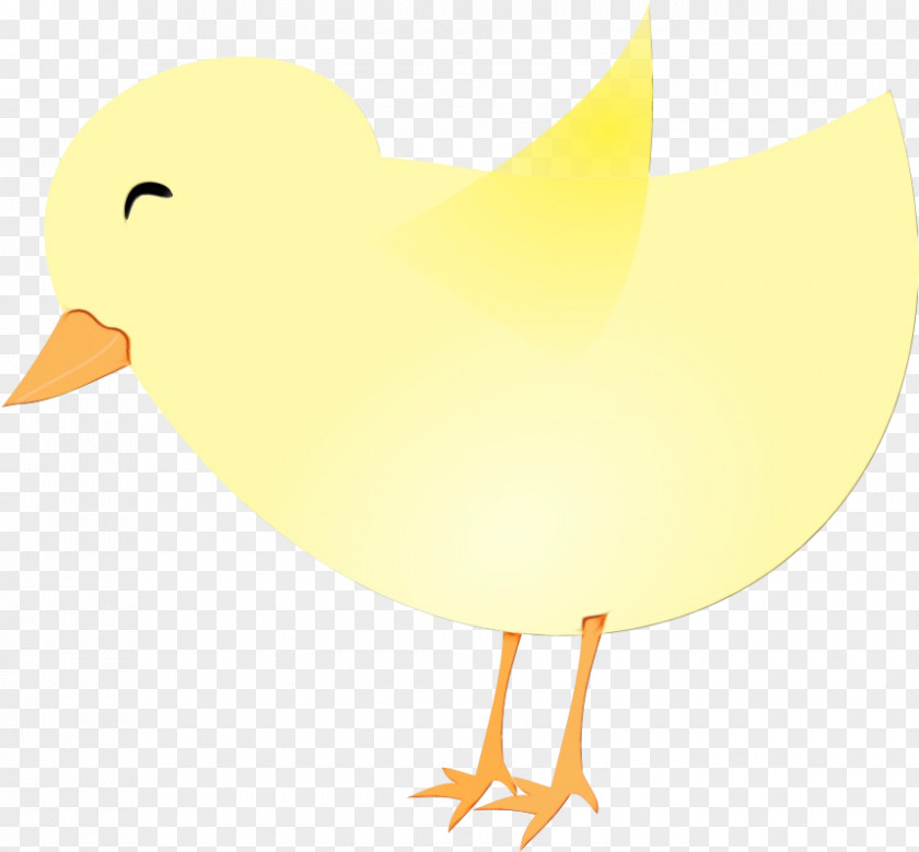 Chicken Water Bird Yellow Beak Clip Art PNG