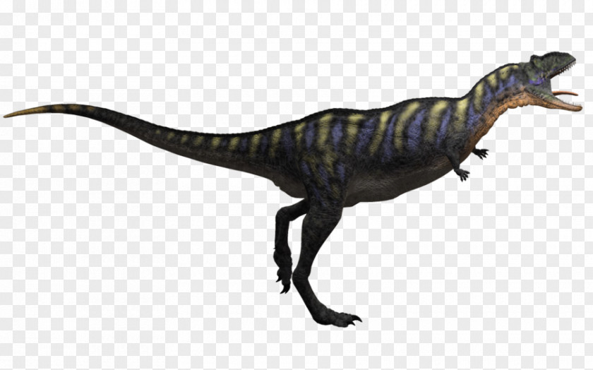 Dinosaur Tyrannosaurus Aucasaurus Velociraptor Ornitholestes Theropods PNG