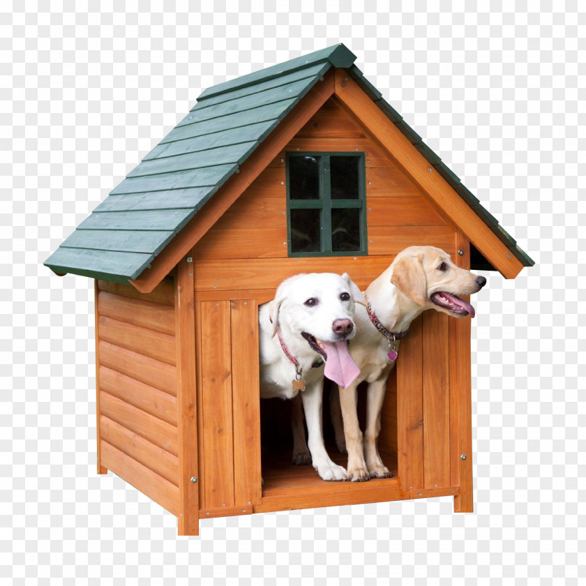 Dog House Doghouse Kennel Cat PNG