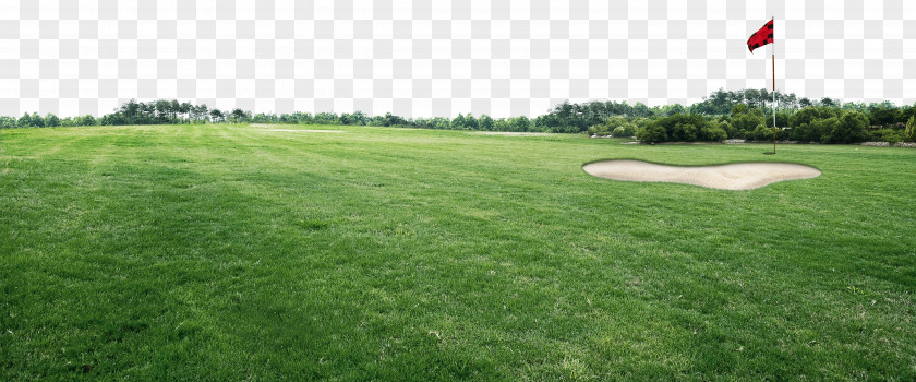Golf Course Sports Venue PNG