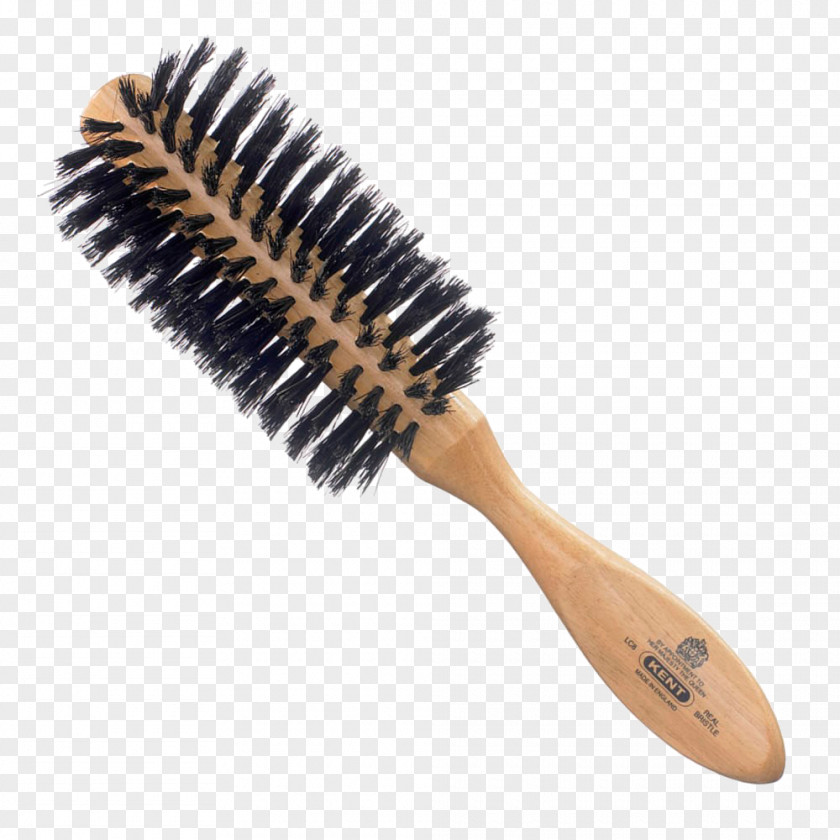 Hair Comb Hairbrush Bristle Care PNG