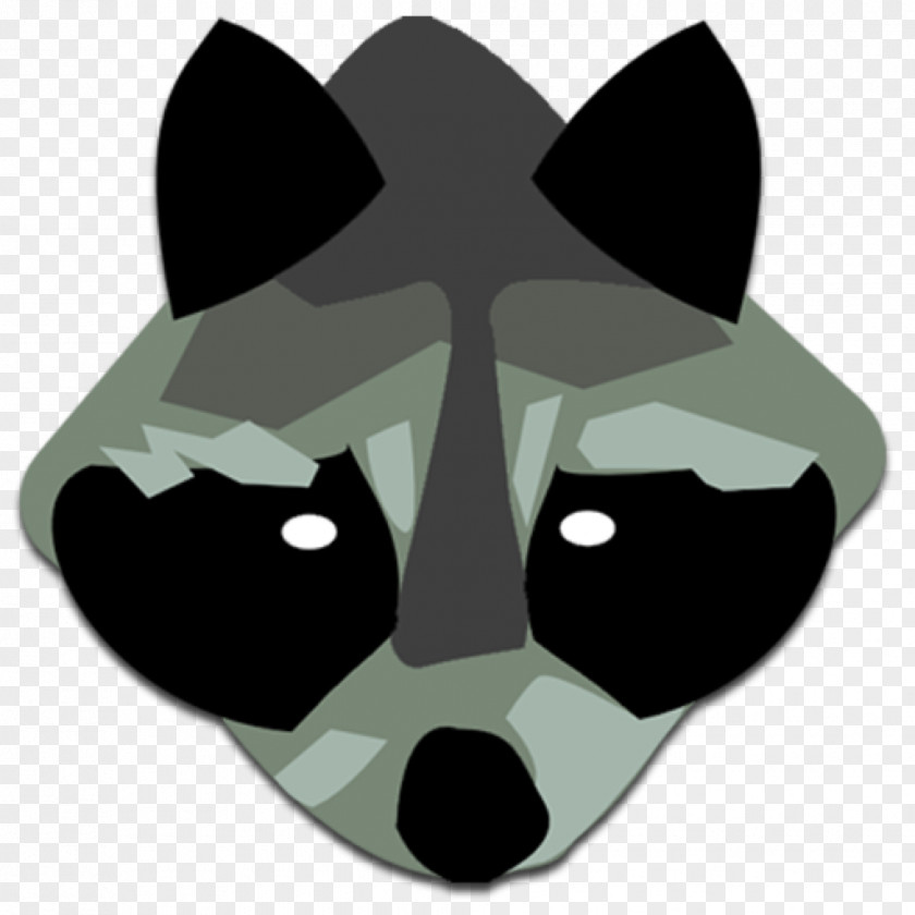 Headgear Procyon Snout Cartoon Procyonidae Whiskers PNG