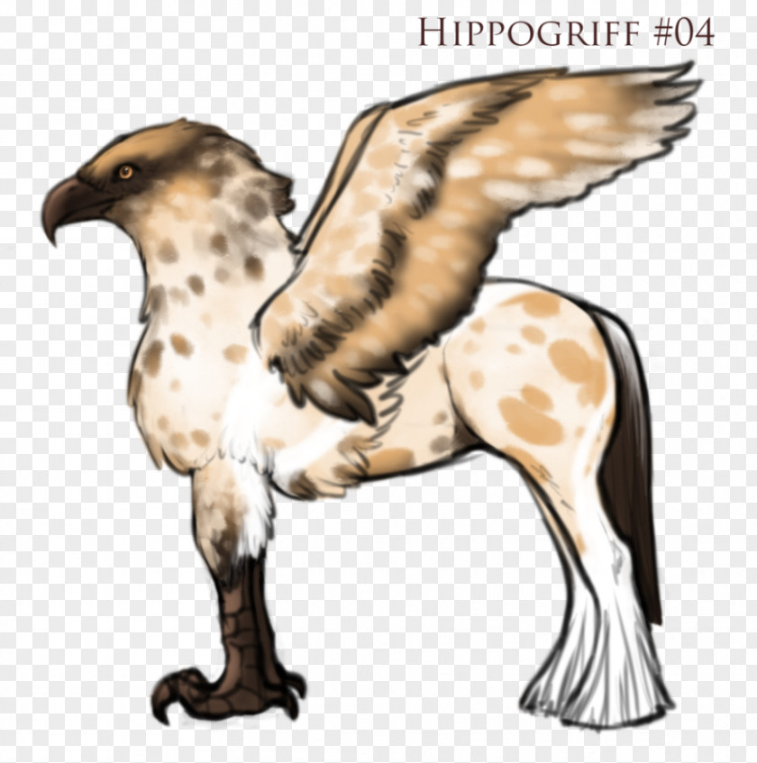 Hippogriff Hawk Wildlife Beak Neck PNG