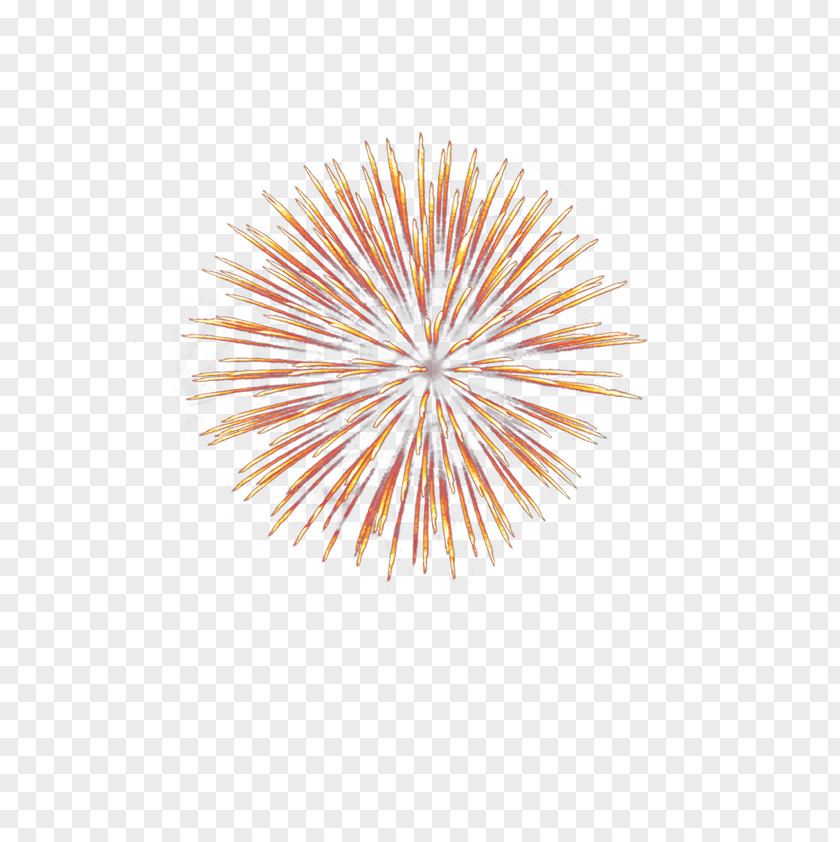 New Year Festive Fireworks Decorative Patterns Lunar Display In Hong Kong Clip Art PNG