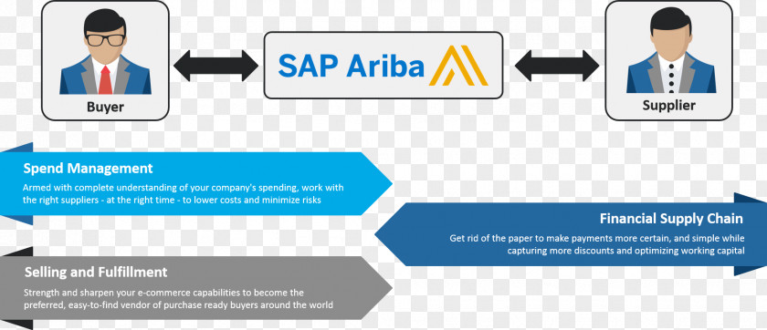 Sap SAP Ariba Procurement Information S/4HANA SE PNG