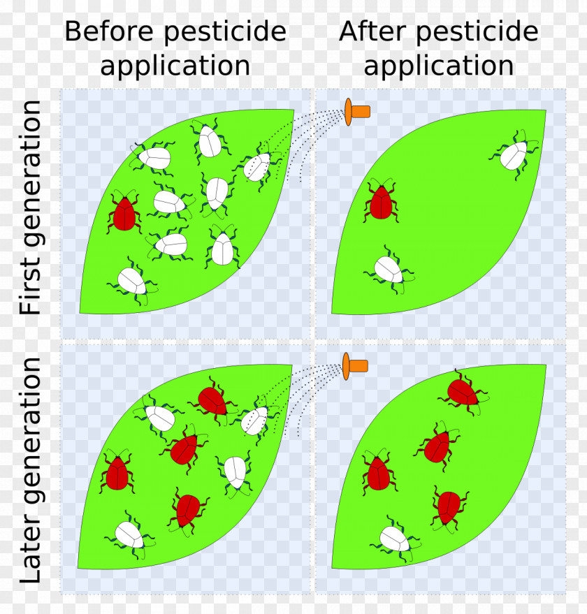 Cartoon Pathogen Insecticide Pesticide Resistance PNG