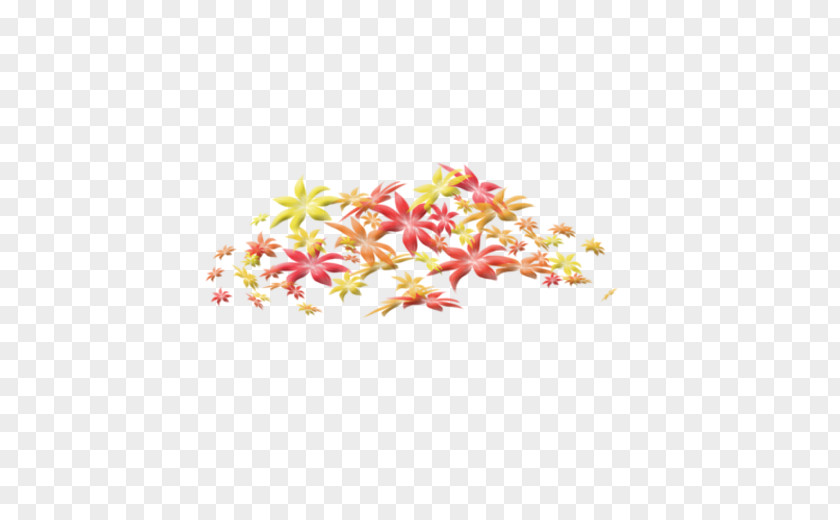 Chrysanthemum Biological Specimen Clip Art PNG
